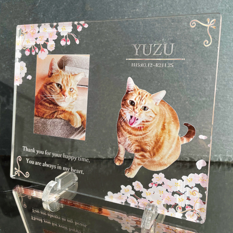 NEW売り切れる前に☆ 写真 思い出 猫 メモリアルフォトプレート 遺影 かわいい 愛犬 ペット供養