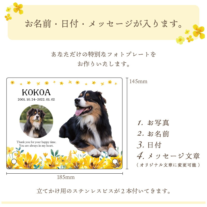 市場 ペット 写真 チューリップ 愛犬 ピンク グッズ 猫 フォトプレート 犬 ペットグッズ メモリアル 大きいサイズ ブルー メモリアルグッズ 愛猫