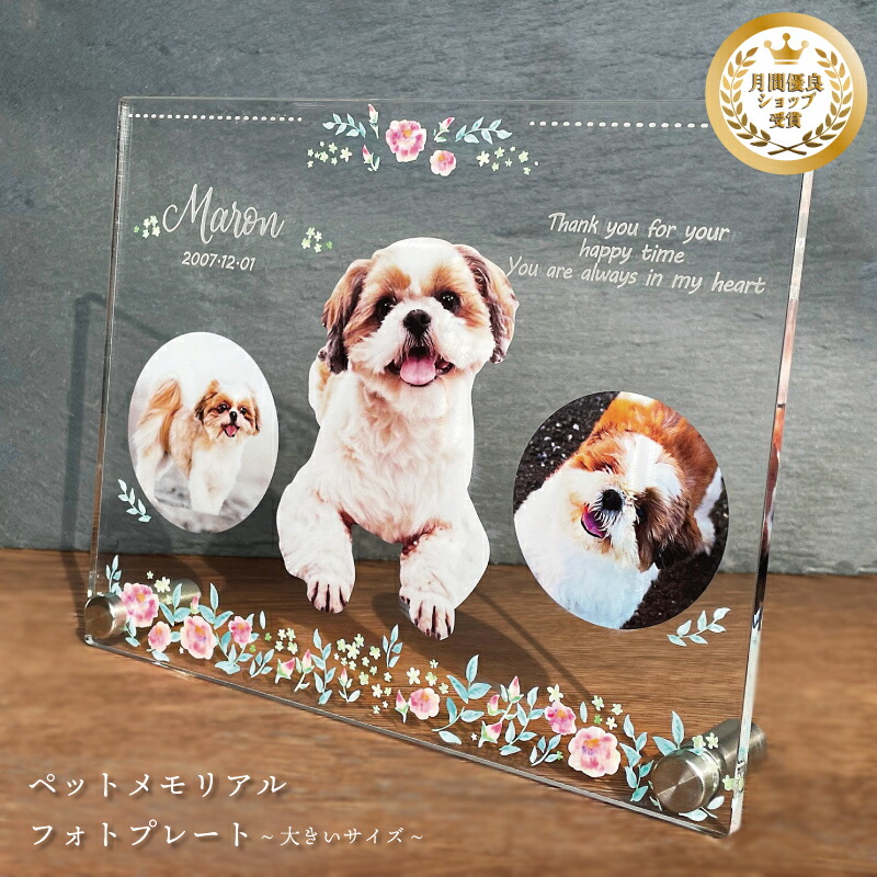 愛玩動物 写真絵お皿 【サクラ色お花】 馬鹿でかい大いさ 犬 猫 愛犬 愛猫 愛玩動物 メモリアル メモリアルグッズ グッズ 活動写真 お悔やみ お自責の念 差し上げ物 愛玩動物グッズ 愛くるしげ 購入注文お手伝いさん 事あたらしい  遺影 仏具 位牌 愛玩動物供養 不死化 生まれ落ちる日 活動写真立て 写真絵 忘れ形見