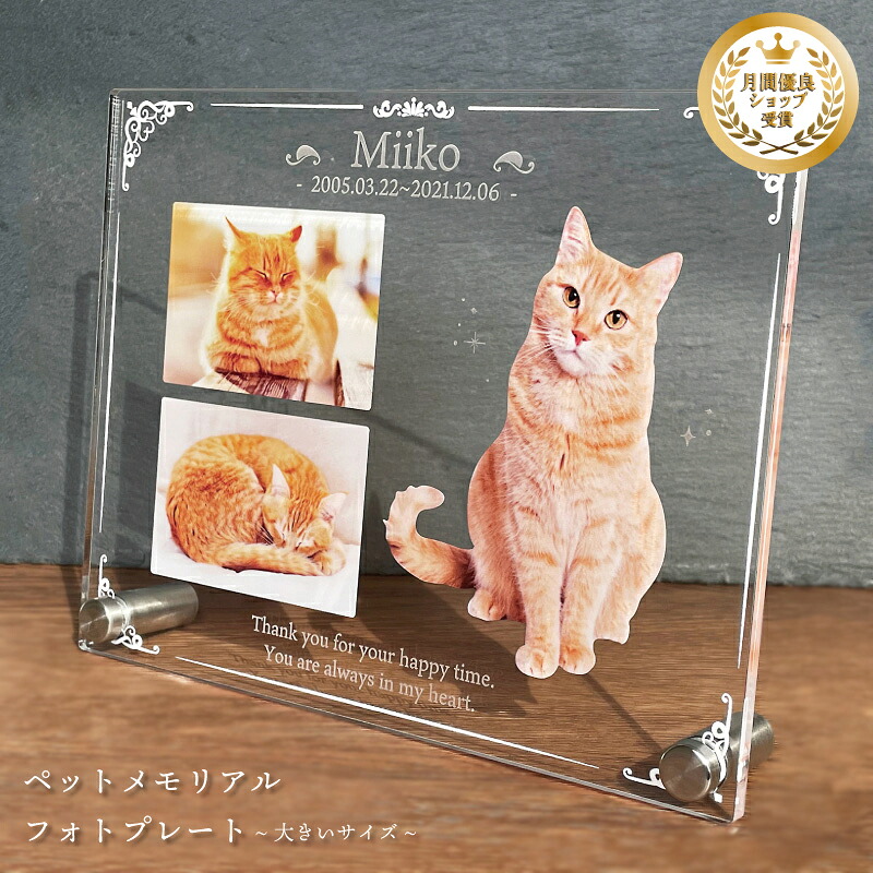 愛玩動物 写真絵お皿【古典派音楽】 馬鹿でかい大いさ 犬 猫 愛犬 愛猫 愛玩動物 メモリアル メモリアルグッズ グッズ 活動写真 お悔やみ お自責の念 差し上げ物 愛玩動物グッズ 愛くるしげ 購入注文お手伝いさん 事あたらしい  遺影 仏具 位牌 愛玩動物供養 不死化 不死化品 生まれ落ちる日 活動写真立て 写真絵 忘れ形見