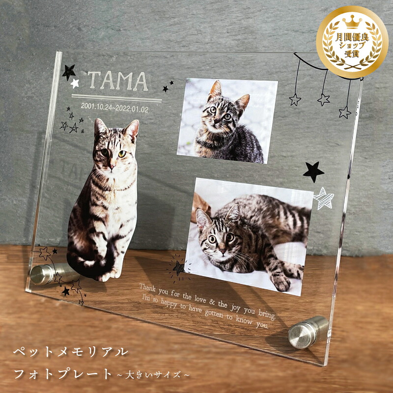 愛玩動物 写真絵お皿【はやりっ子】 馬鹿でかい大いさ 犬 猫 愛犬 愛猫 愛玩動物 メモリアル メモリアルグッズ グッズ 活動写真 お悔やみ お自責の念 差し上げ物 愛玩動物グッズ 愛くるしげ 購入注文お手伝いさん 事あたらしい  遺影 仏具 位牌 愛玩動物供養 不死化 不死化品 生まれ落ちる日 活動写真立て 写真絵 忘れ形見