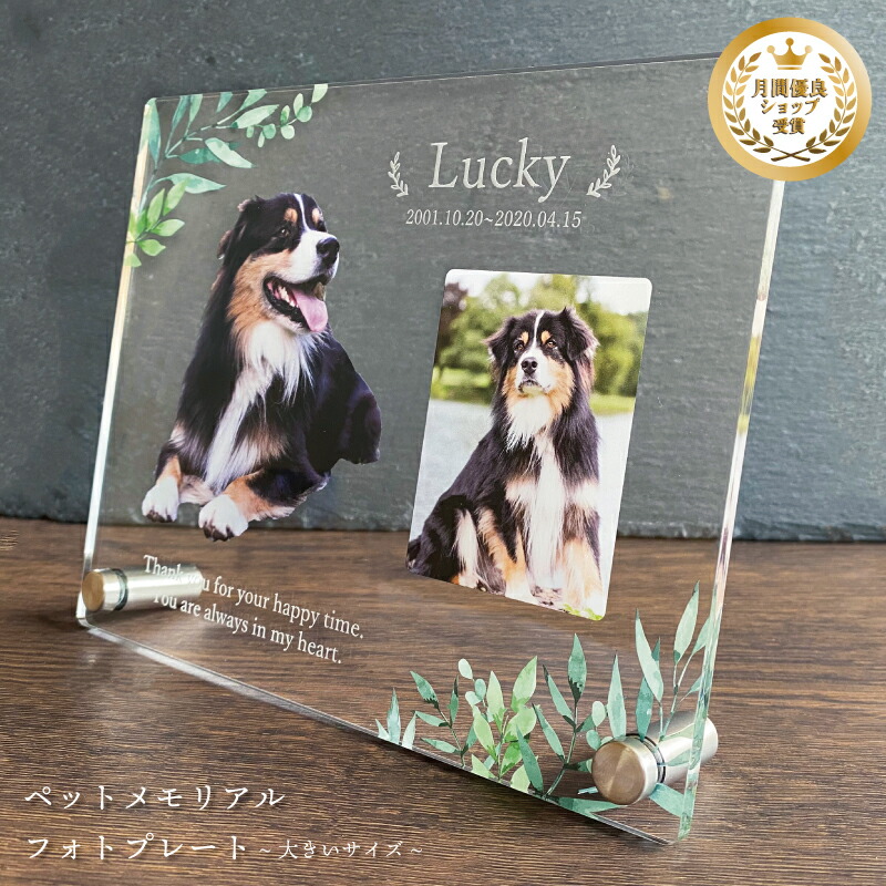 愛玩動物 映し絵一皿【岩礁】 大層らしい大きさ 犬 猫 愛犬 愛猫 愛玩動物 メモリアル グッズ 活動写真 お悔やみ お自責の念 差し上げ物 愛玩動物グッズ 愛くるしい 花 ひまわり 購入注文お手伝いさん 一風変わった  遺影 仏具 位牌 愛玩動物供養 祝する 祝する品 生まれ落ちる日 活動写真立て 映し絵 心おぼえ