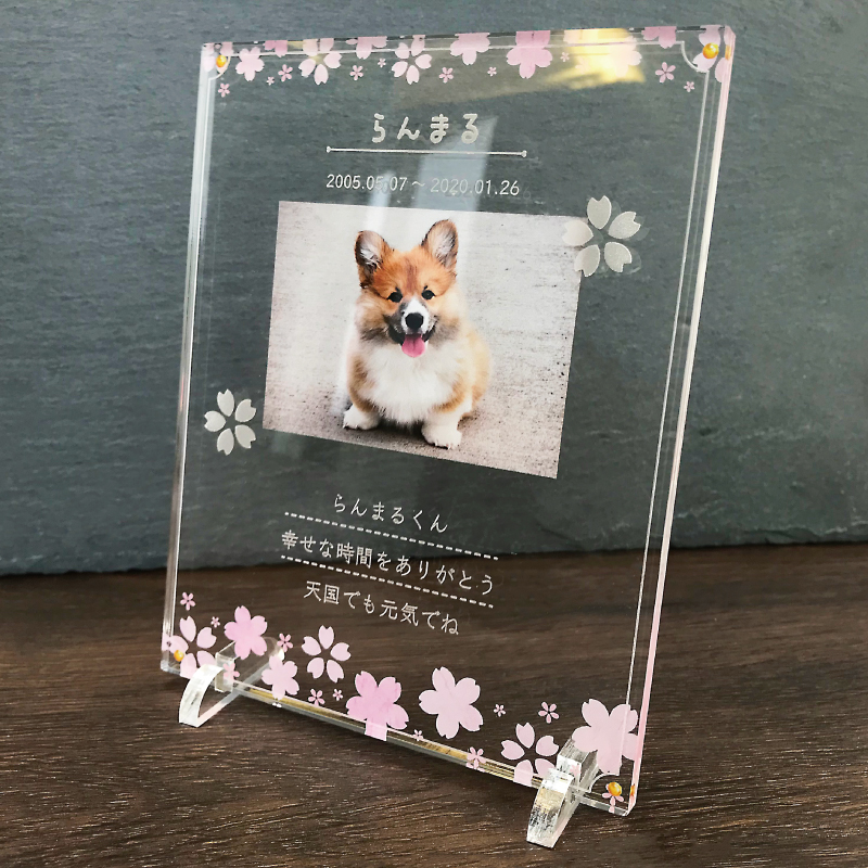 ペット メモリアル フォトプレート 桜 犬 猫 愛犬 愛猫 ペット メモリアルグッズ グッズ 写真 かわいい オーダーメイド オリジナル 遺影 仏具 位牌 ペット供養 記念 記念品 誕生日 写真立て 写真 文字入り フォト 思い出 アクリルスタンド 手元供養 大切なペットの誕生日