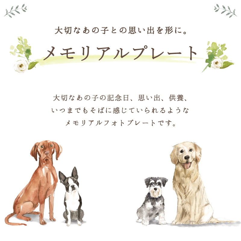 市場 ペット 写真 チューリップ 愛犬 ピンク グッズ 猫 フォトプレート 犬 ペットグッズ メモリアル 大きいサイズ ブルー メモリアルグッズ 愛猫