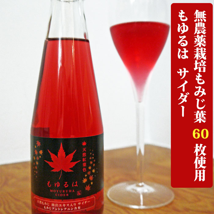 もみじ 一筆箋｜紙シリーズ｜一筆箋 シルク 落ち葉柄 S2(89593006