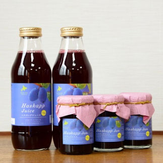 ハスカップ詰合せ～ジュース500ml×2本・ジャム150g×3瓶 バイオアグリたかす ギフト のし対応可