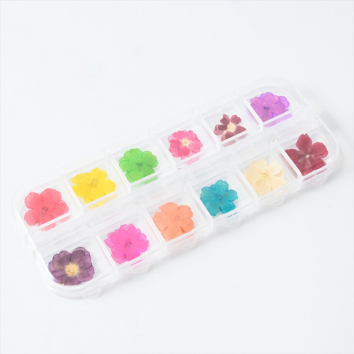 送料無料 ドライフラワー 自然素材 花弁 封入パーツ 押し花 封入 5枚花 レジン材料 Mixカラー アクセサリー ジェルネイル パーツ 12色セット