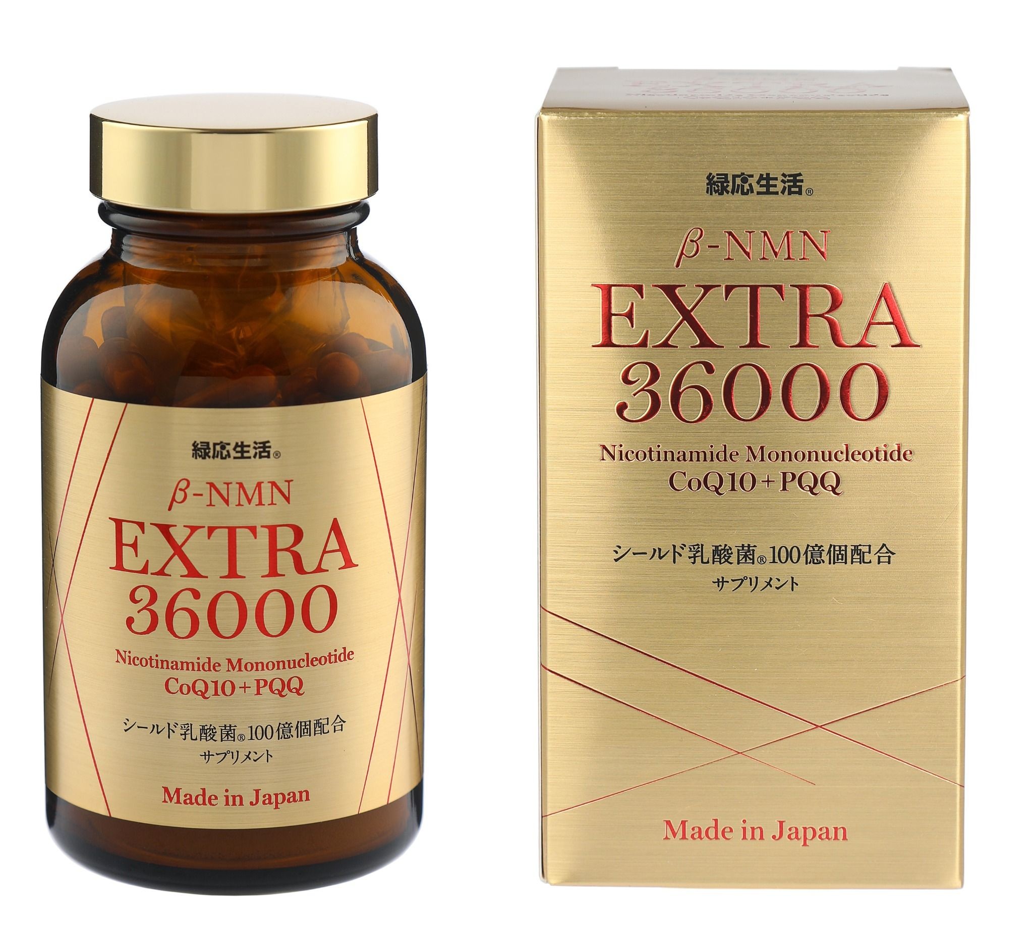 堅苦しさ販売店OPEN ご御辞儀と社会的運動のごお引き回し