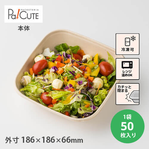 バガス フードパック テイクアウト 容器 おしゃれ サラダ お弁当 紙容器 紙トレイ 紙 電子レンジ対応 サンドイッチケース カフェ 食品容器 ボックス ランチボックス 使い捨て エコ 丼 業務用