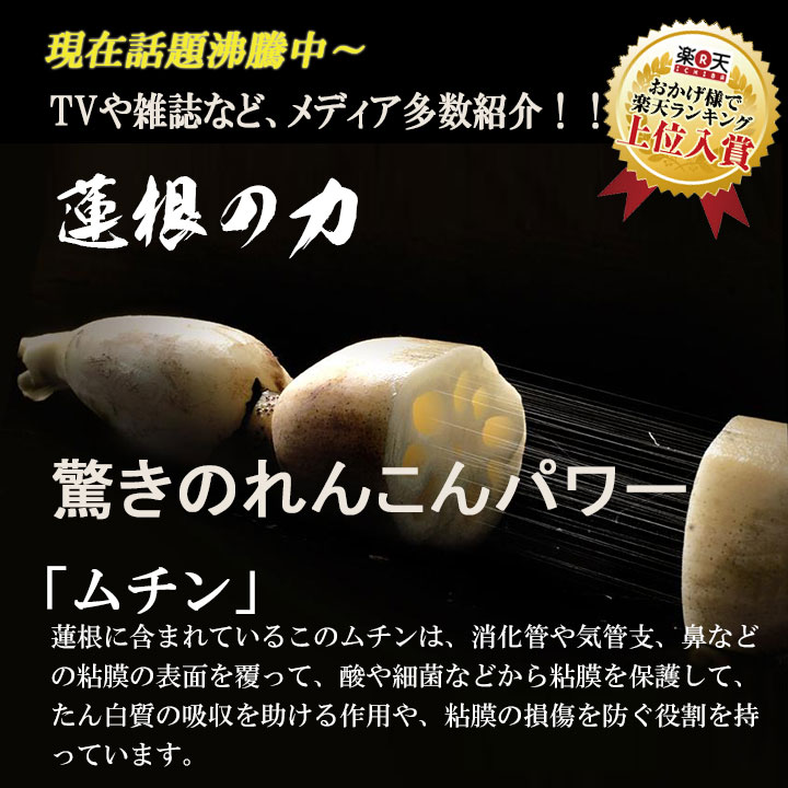 楽天市場】【お得業務用1ｋｇ】れんこん100％無添加 レンコンパウダー1ｋｇ～「蓮根の力」（蓮根粉）れんこんパウダー【楽天出店18周年】レシピ付き！ れんこん粉末/レンコンパウダー/サプリ/れんこん湯/粉/fK0N5g【軽税】/送料無料父の日 プレゼント : ＳＢＮ２１