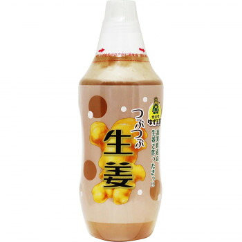 北川村ゆず王国 つぶつぶ生姜茶 480g 12個セット 【日本製】 高知県産生姜使用 生姜シロップ 柚子茶 お湯割り 炭酸割り お中元 お歳暮 内祝い ギフト