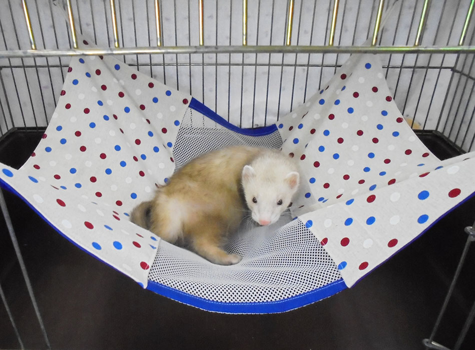 楽天市場 オリジナルネットハンモック Sbsコーポレーション 約450ｘ500ｍｍ フェレット Sbsコーポレーション