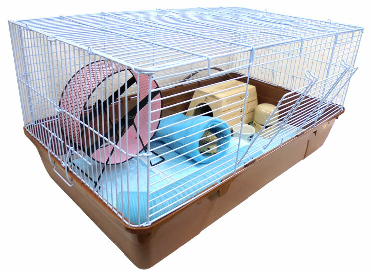 お客様満足度NO.1 『 ハリネズミ飼育セットB 飼育 www.beher.com