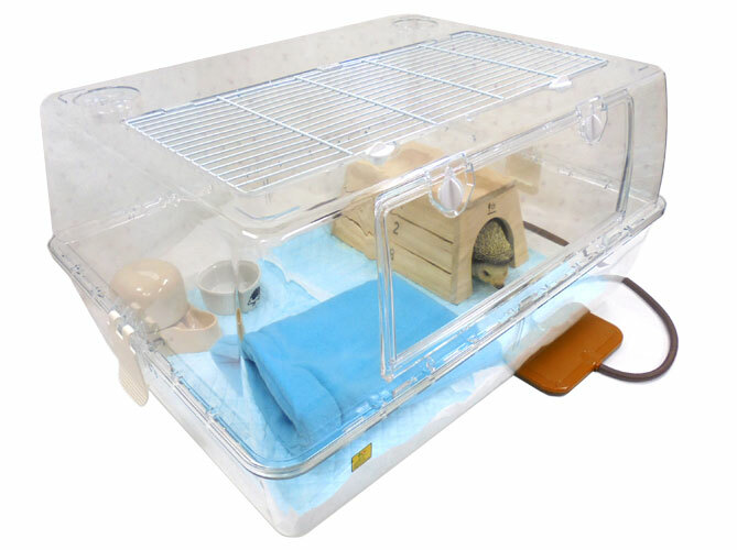 ハリネズミ飼育用品セット 初めてのハリネズミ飼育セット | チャーム