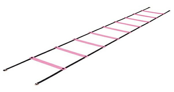 楽天市場】【NISHI ニシ・スポーツ】ファーストフットラダーII 8m（4m