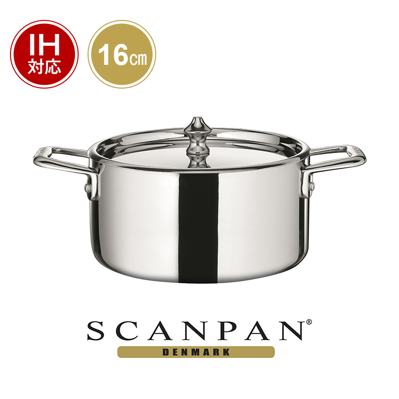 SCANPANスキャンパン 両手鍋 ブラック 直径30cm TechnIQ IH