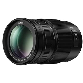 【中古】［非常に良い］Panasonic Lumix H-FS100300 G Vario 100-300mm/F4.0-5.6レンズ(ブラック) 98,317円