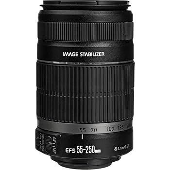 【中古】［人並み外れたに好いたらしい］Canon EF-S 55-250粍 f/4-5.6 is II 望遠望遠レンズ Canon EOS デジタル一眼二眼レフ写真機用 (ホワイトボックス)
