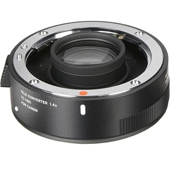 【中古】［人並み外れたに好いたらしい］TELE CONVERTER TC-1401 EO [TELE CONVERTER 1.4倍 キヤノン用]