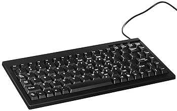 【中古】Solidyear ミニキーボード ACK-595U-B 英語(黒)USB|スカーレット2021