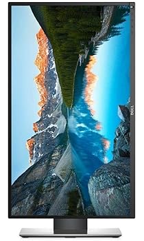 【中古】Dell Professional P2417H 23.8 Screen LED-Lit Monitor by Dell