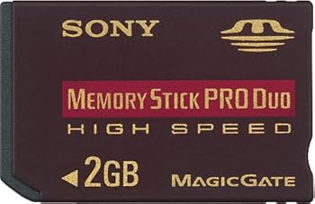 【中古】［人並み外れたに好いたらしい］SONY 記憶装置突っ支い棒PRO二人組(Hi-Speed)2GB [MSX-M2GNU]