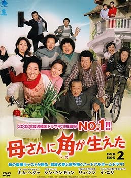 【中古】母さんに角が生えた　DVD-BOX2
