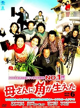 【中古】母さんに角が生えた　DVD-BOX6