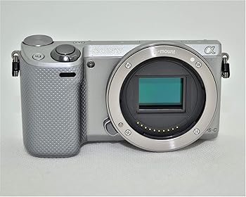 【中古】［人並み外れたに好いたらしい］NEX-5R しろがね色 上半身