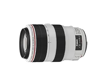 【中古】キヤノン Canon 望遠ズームレンズ キヤノン EFマウント EF70-300mm F4-5.6L IS USM フルサイズ対応 158,885円