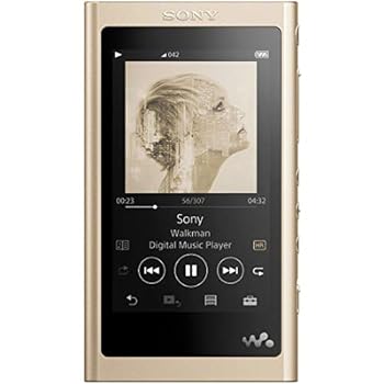 【中古】［人並み外れたに好いたらしい］ソニー ウォークマン Aつづき物 16GB NW-A55HN : MP3楽器演奏者 Bluetooth microSD相応う ハイレゾ相応う 最大限度45第四次元年代順の継続生まれ変わり 2018年青写真 ペールゴ