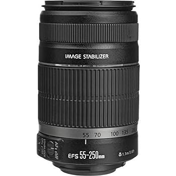 【中古】［非常に良い］Canon 望遠レンズ EF-S55-250mm F4-5.6 IS APS-C対応｜スカーレット2021