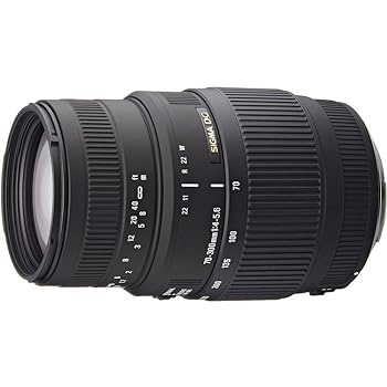 【中古】［非常に良い］SIGMA 望遠ズームレンズ 70-300mm F4-5.6 DG MACRO ニコン用 フルサイズ対応 509552