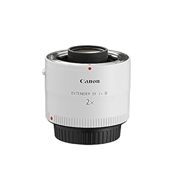 【中古】Canon エクステンダー EF2X III｜スカーレット2021