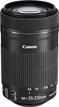 【中古】Canon キヤノン 望遠ズームレンズ EF-S55-250mm F4-5.6 IS STM APS-C対応 EF-S55-250ISSTM