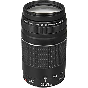 【中古】［非常に良い］Canon EF 75 ? 300 mm f / 4 ? 5.6 III望遠ズームレンズfor Canon SLRカメラ、6473 a003 (認定Refurbished )｜スカーレット2021