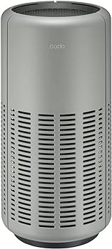 【中古】［人並み外れたに好いたらしい］【cado(カドー)】 LEAF 250 （クールグレー） 空気の状態汚れのない機 除菌 消臭 パウダーコンパクト
