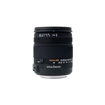 【中古】シグマ 18-125mm F3.8-5.6 DC OS HSM ニコン用 18-125mm F3.8-5.6 DC OS HSM NA