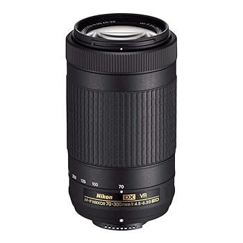 【中古】Nikon AF-P DX NIKKOR 70-300粍 f/4.5-6.3G ED VR 水晶体 Nikon DSLR写真機用
