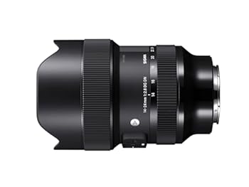 【中古】［非常に良い］シグマ(Sigma) SIGMA シグマ Sony Eマウント レンズ 14-24mm F2.8 DG DN ズーム 広角 フルサイズ Artミラーレス専用｜スカーレット2021