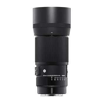 【中古】［非常に良い］シグマ(Sigma) SIGMA シグマ Lマウント レンズ 105mm F2.8 DG DN MACRO 単焦点 望遠 フルサイズ Art ミラーレス 専用