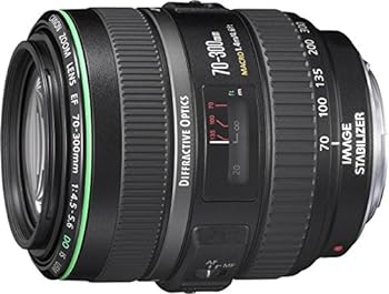 【中古】［非常に良い］Canon 望遠ズームレンズ EF70-300mm F4.5-5.6 DO IS USM フルサイズ対応