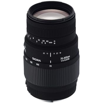 【中古】［非常に良い］SIGMA 望遠ズームレンズ APO 70-300mm F4-5.6 DG MACRO シグマ用 フルサイズ対応 508401