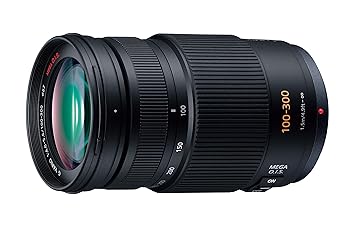 【中古】パナソニック 望遠ズームレンズ マイクロフォーサーズ用 ルミックス G VARIO 100-300mm/F4.0-5.6 /MEGA O.I.S. H-FS100300