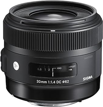 【中古】［非常に良い］シグマ(Sigma) SIGMA シグマ Nikon Fマウント マウントレンズ 30mm F1.4 DC HSM 単焦点 標準 APS-C Art一眼レフ専用