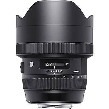 【中古】［人並み外れたに似つかわしい］SIGMA 12-24粍 F4 DG HSM | Art A016 | Canon EFマウント | Full-Size/Large-Format