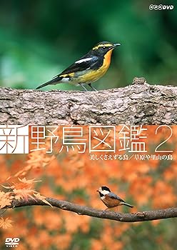 【中古】新 野鳥図鑑 第2集 美しくさえずる鳥/草原や里山の鳥 [DVD]｜スカーレット2021