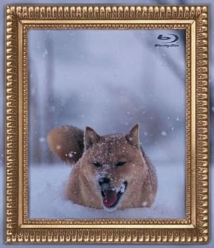 【中古】レオナルド犬プリオ [Blu-ray]