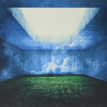 【中古】MAZE [Analog]