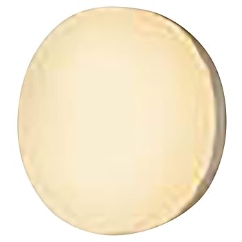 【中古】パナソニック(Panasonic) ブラケットライト LED 業務用浴室向け 防湿・防雨型 2700K NNN14000LE1